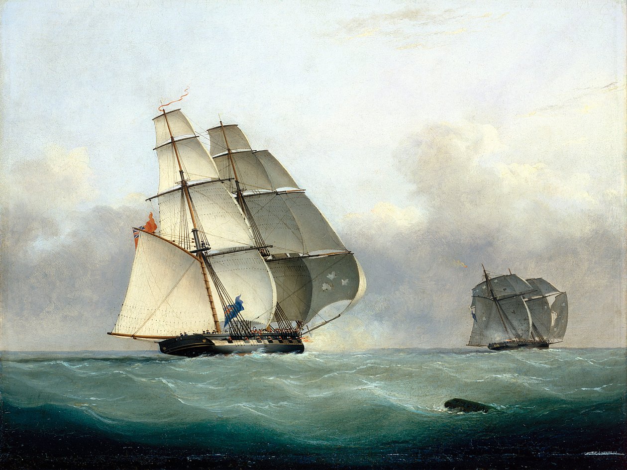Captura del negrero "Gabriel" por el HMS "Acorn", 6 de julio de 1841 de Nicholas Matthews Condy