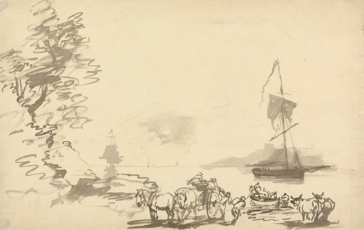 Estudio de la costa de Nicholas Pocock