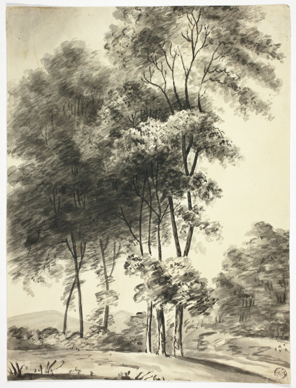 Árboles con montañas a lo lejos de Nicholas Pocock