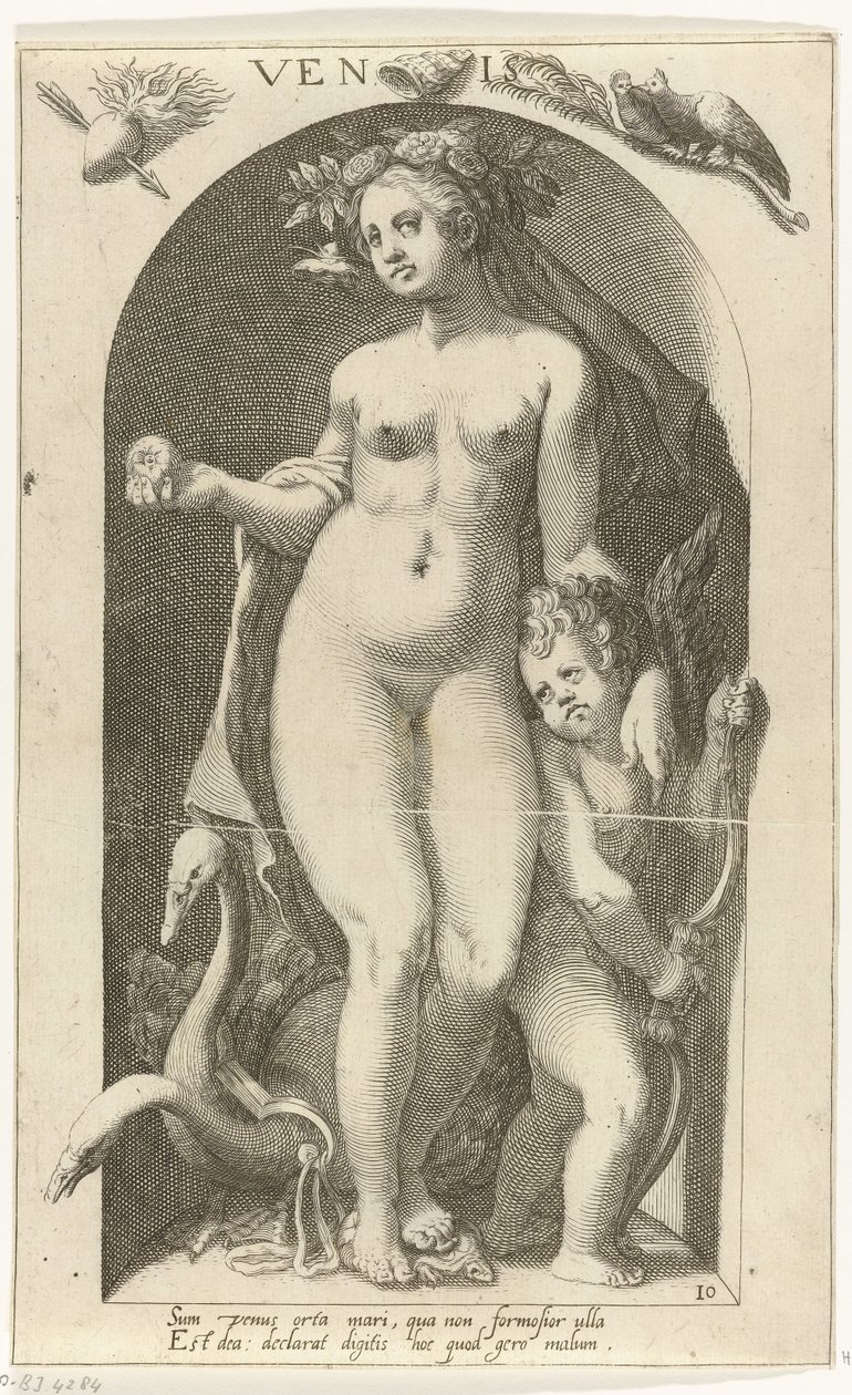 Venus Venis (título sobre objeto) Dioses antiguos (título de la serie) de Nicolaas Braeu