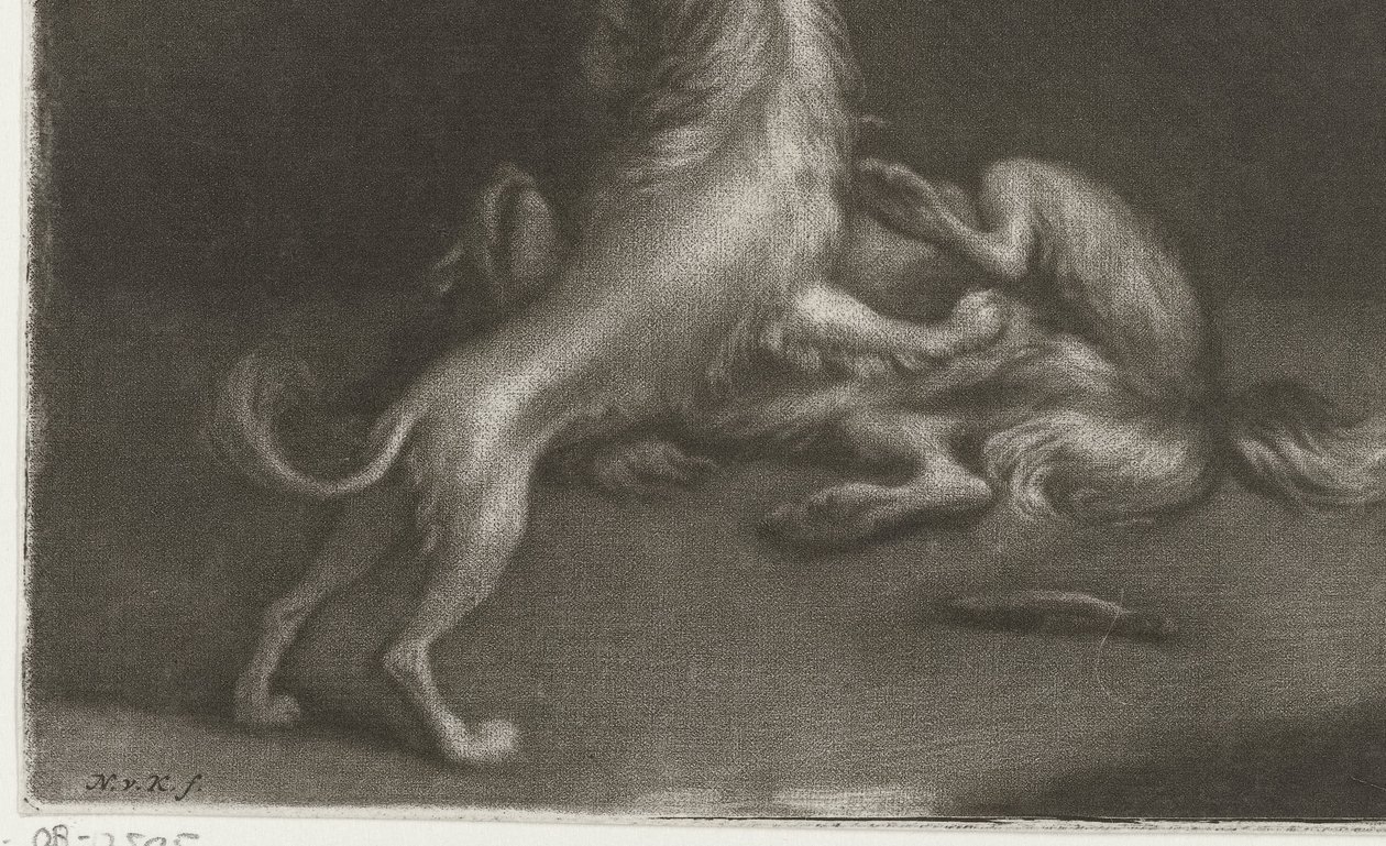 Dos perros jugando de Nicolaas Verkolje