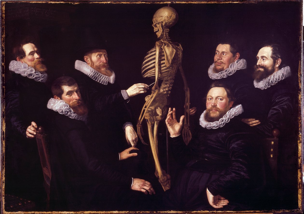 La Lección de Anatomía del Dr. Sebastiaen Egbertsz. De Vrij de Nicolaes  Eliasz