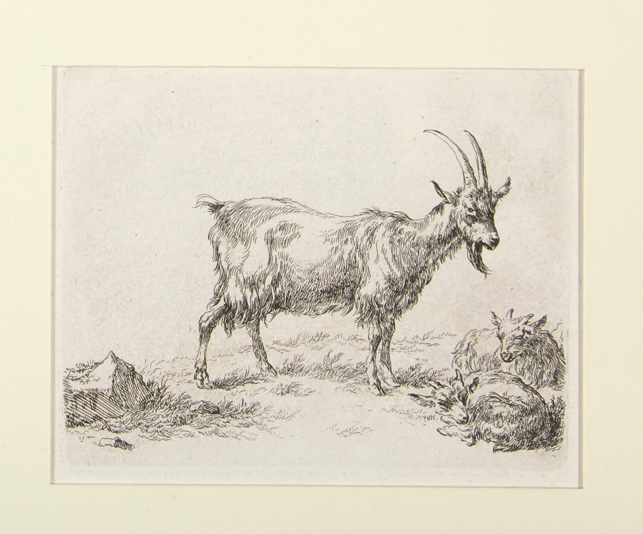 6 grabados de de Nicolaes Berchem
