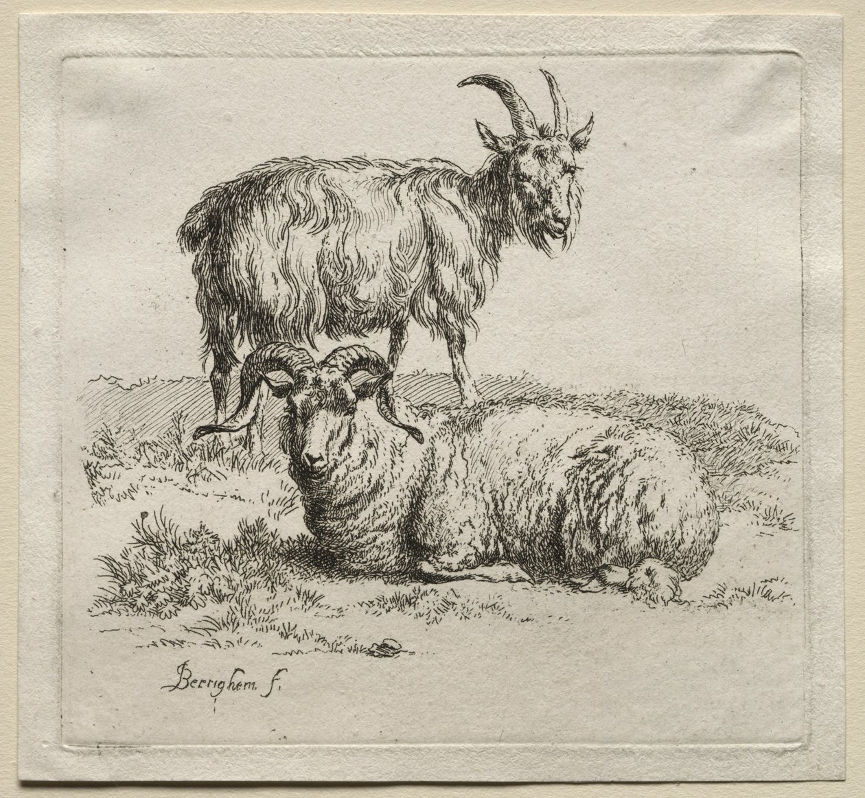 Animalia: Carnero y cabra de Nicolaes Berchem