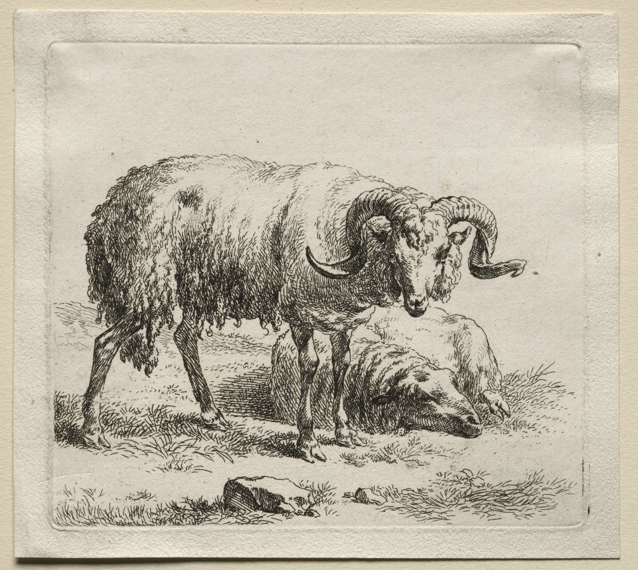 Animalia: Carnero y Oveja de Nicolaes Berchem
