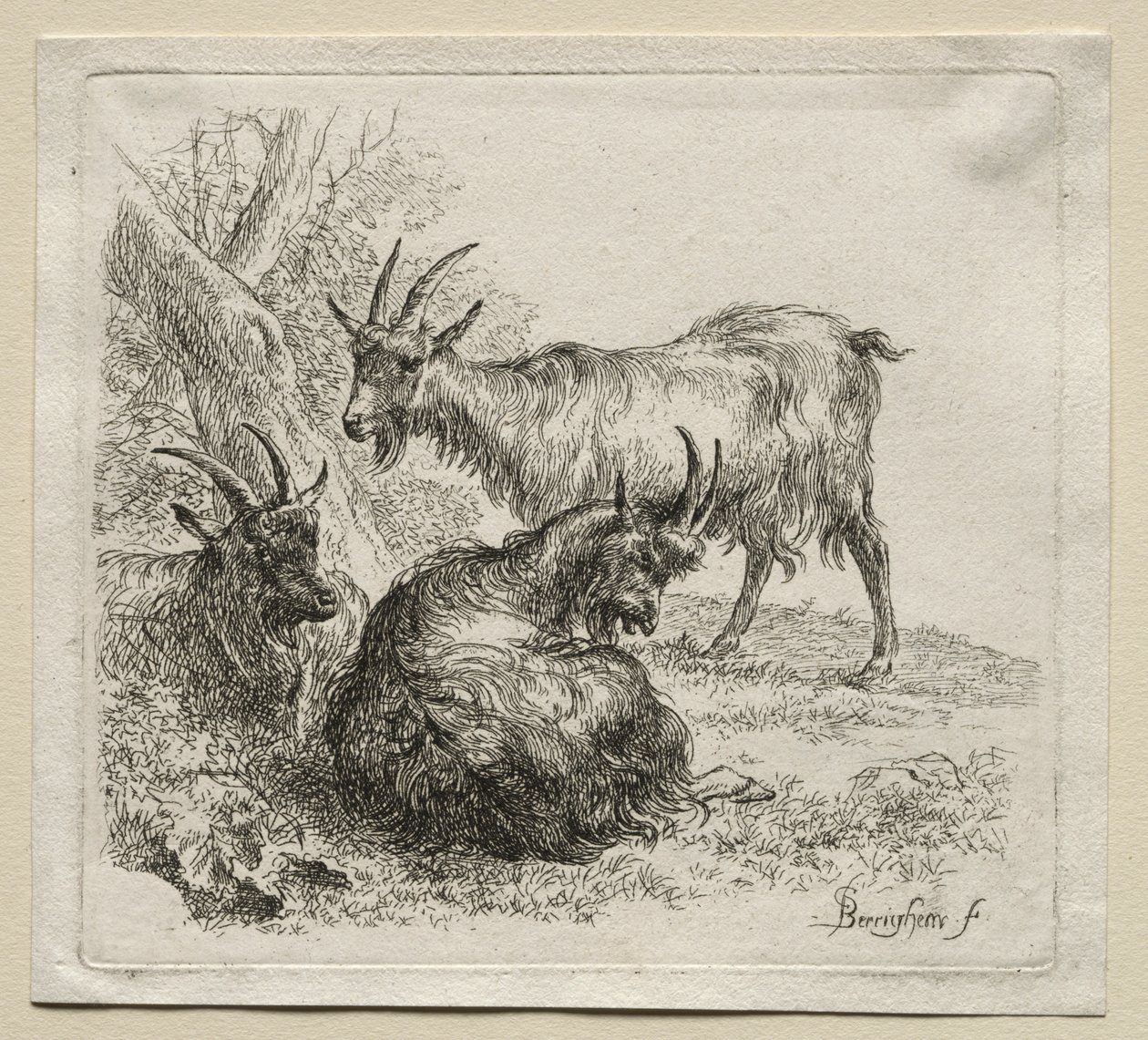 Animalia: Tres Cabras de Nicolaes Berchem