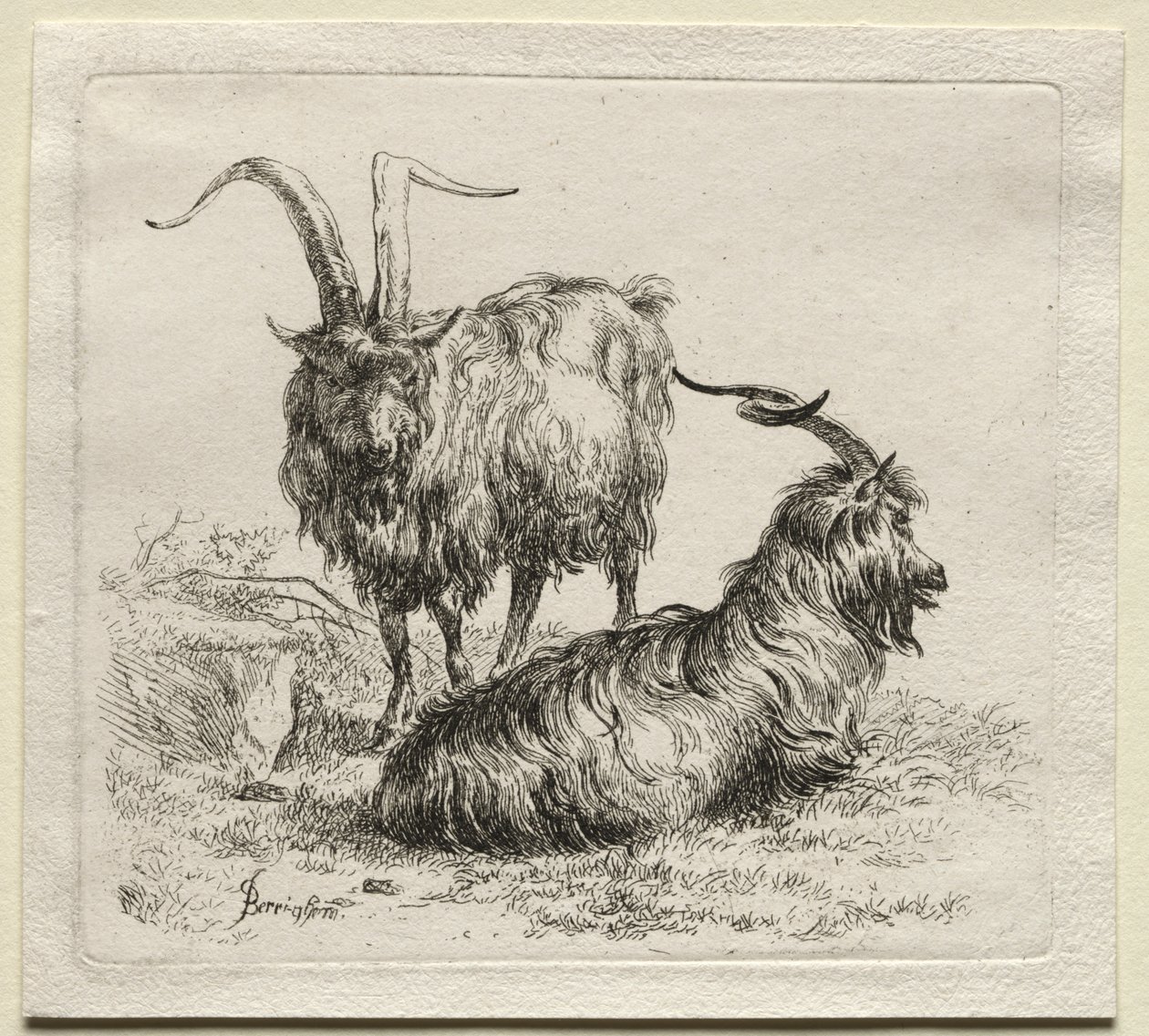 Animalia: Dos cabras de Nicolaes Berchem