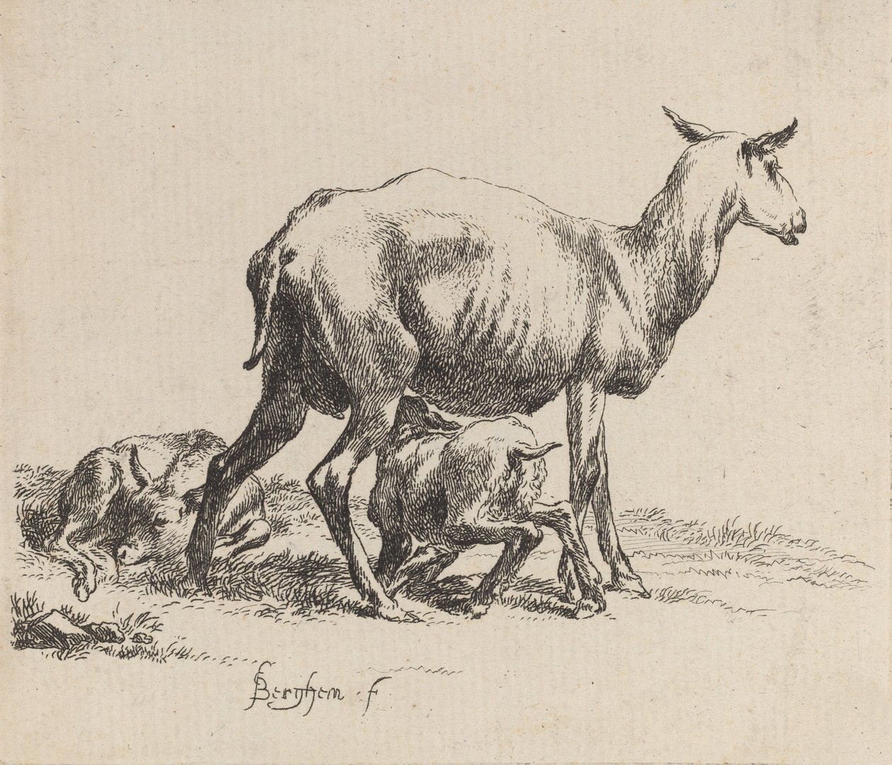 Oveja amamantando a su cordero de Nicolaes Berchem