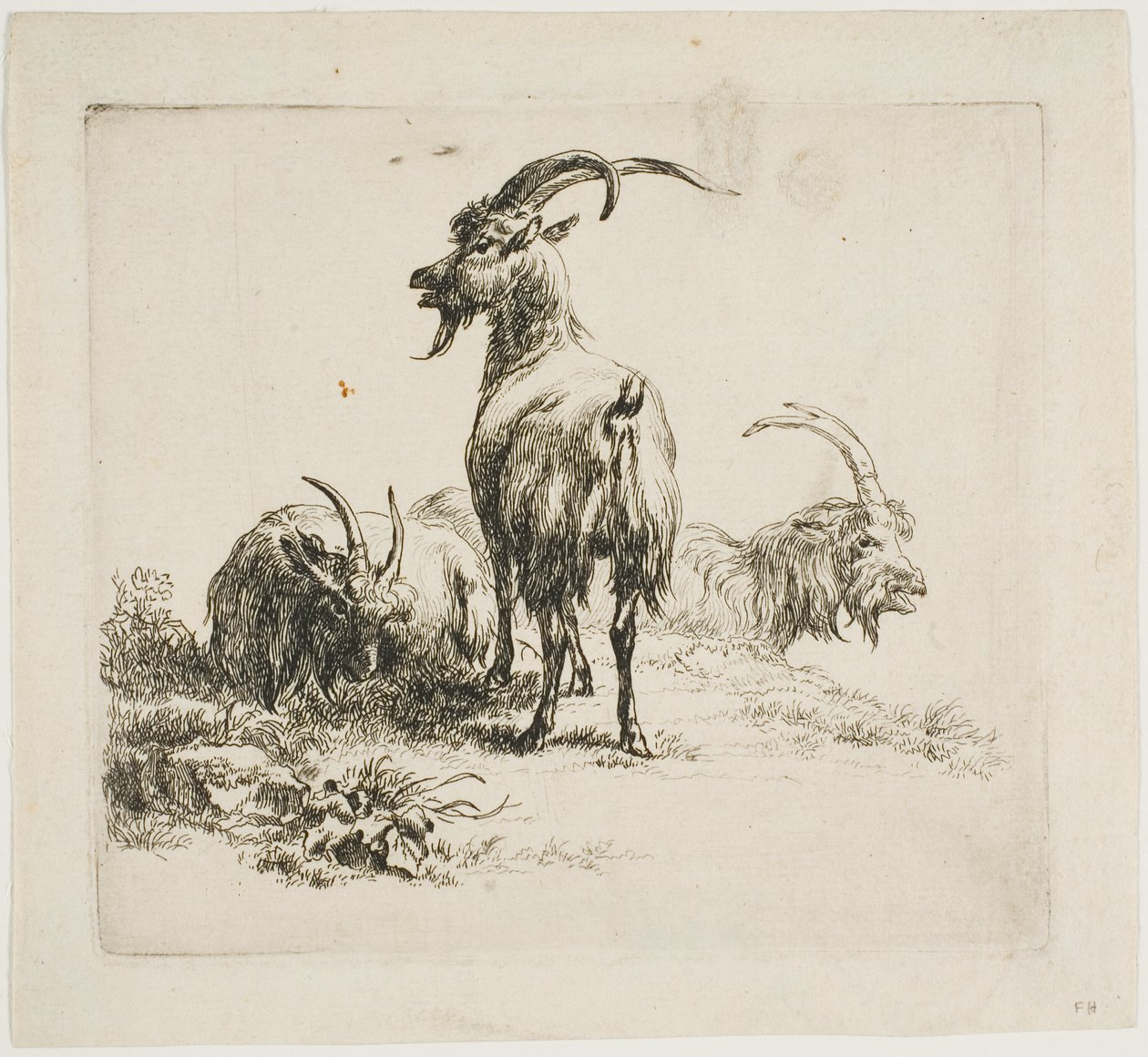 Cabras, de varios animales de Nicolaes Berchem
