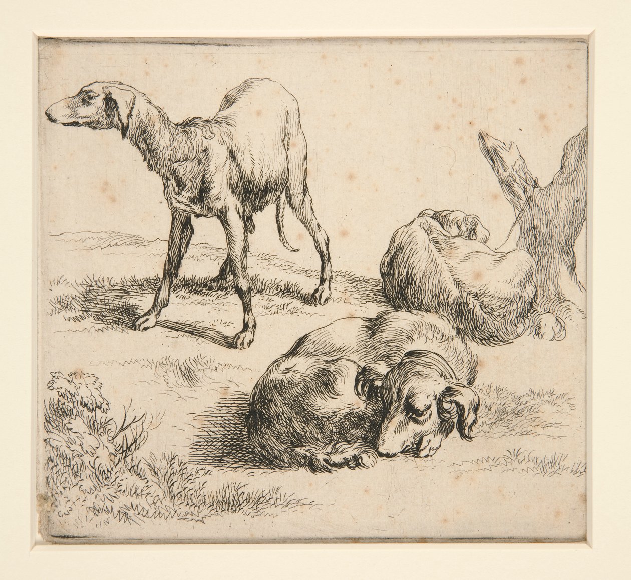 Tres perros de caza (de de Nicolaes Berchem