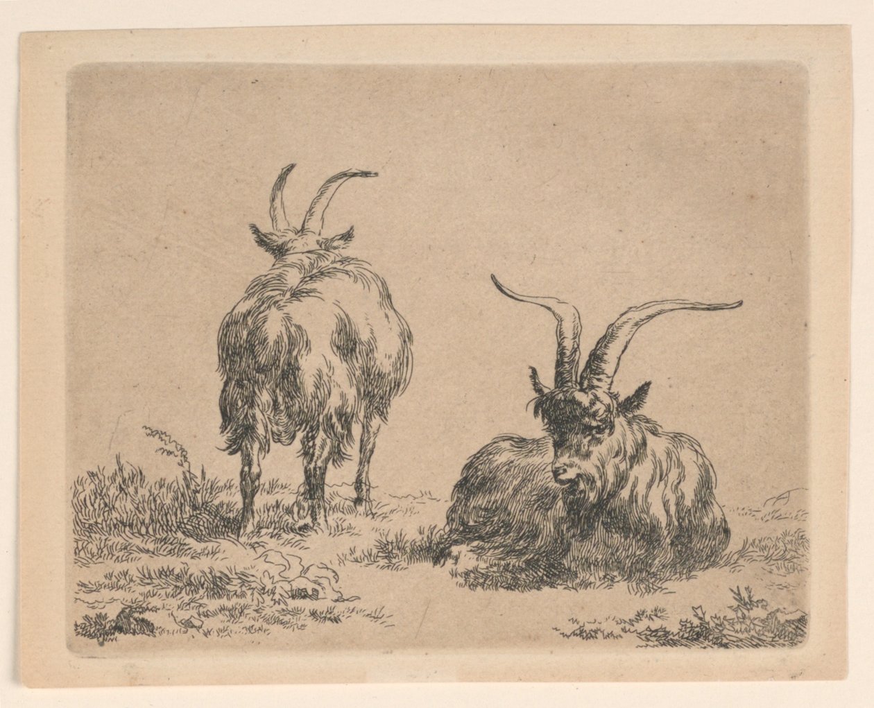 Dos cabras de Nicolaes Berchem