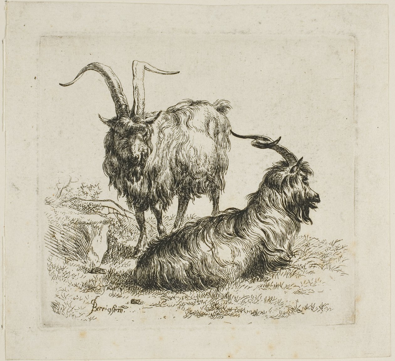 Dos cabras con cuernos grandes, de Varios Animales de Nicolaes Berchem
