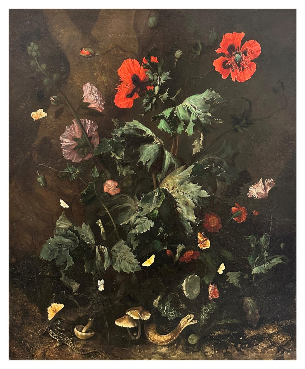 Un suelo de bosque con flores, mariposas y reptiles, c.1656-1700 (óleo sobre lienzo) de Nicolaes Lachtropius