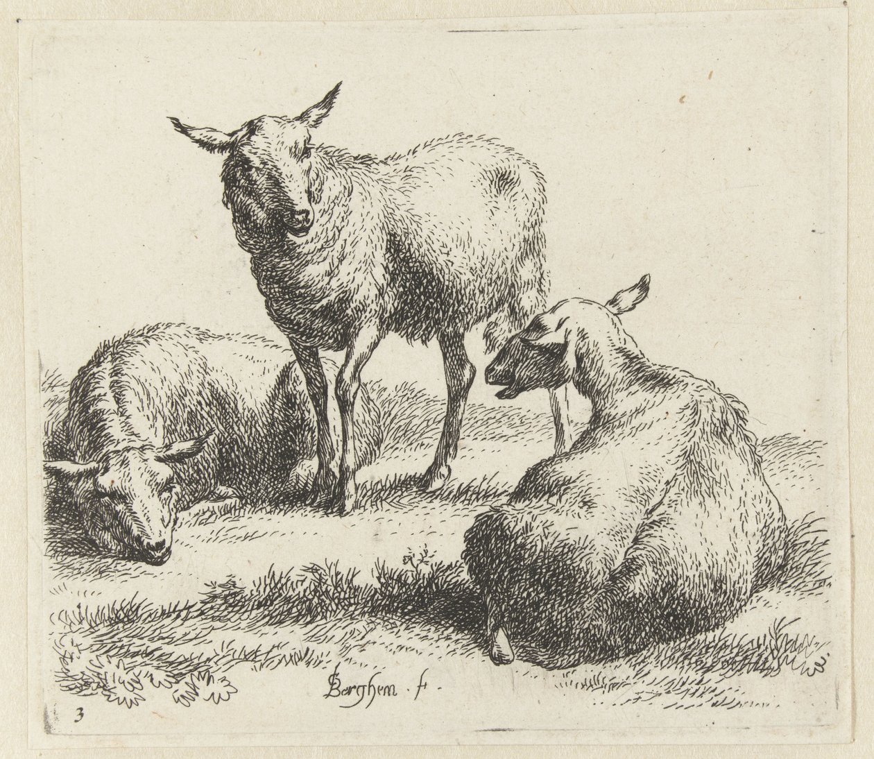 Secar las ovejas Schapen (título de la serie) Animales dibujados a la vida e impresos con agua para un aire fuerte por Studio and Art of Nicolai Berchem (título de la serie) de Nicolaes Pietersz Berchem