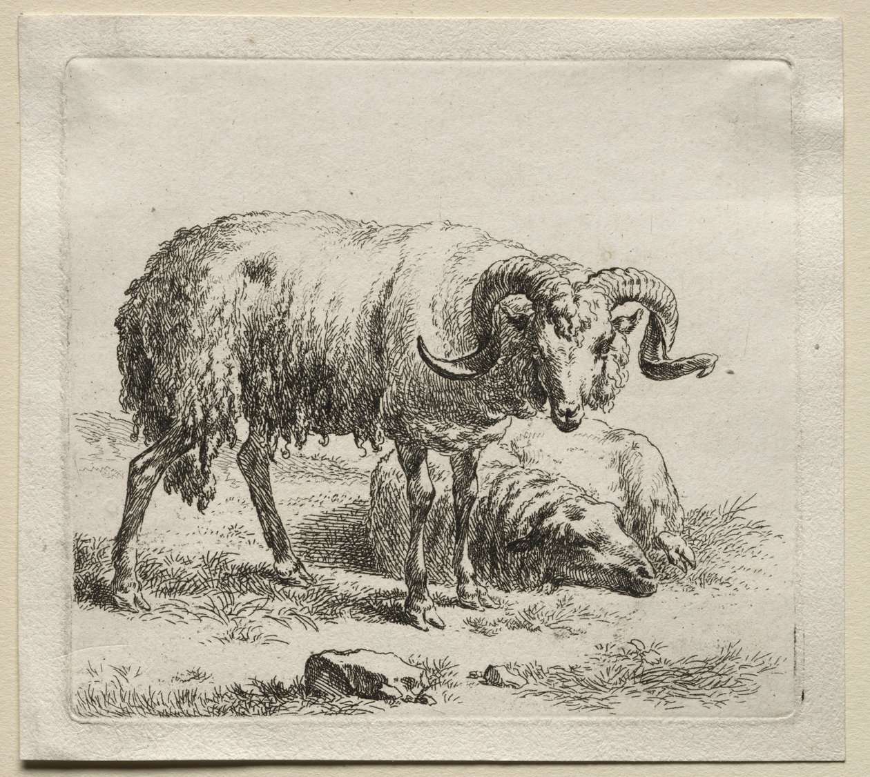 Carnero y oveja de Nicolaes Pietersz. Berchem