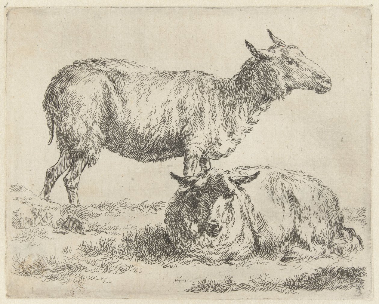 Staand en liggend schaap Schapen (título de la serie) Animales dibujados a la vida e impresos con agua para un aire fuerte por Studio and Art of Nicolai Berchem (título de la serie) de Nicolaes Pietersz Berchem