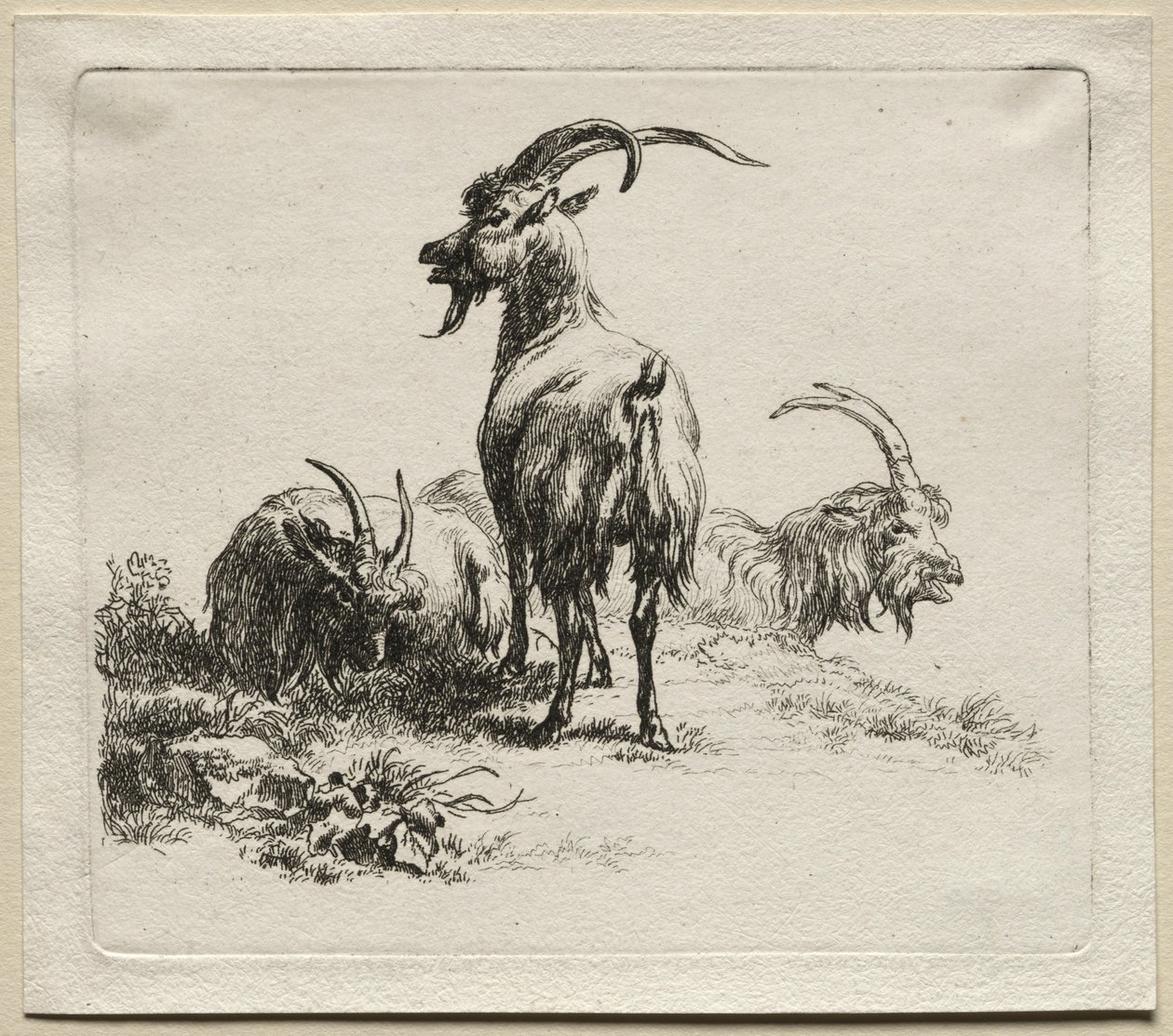 Tres cabras de Nicolaes Pietersz. Berchem