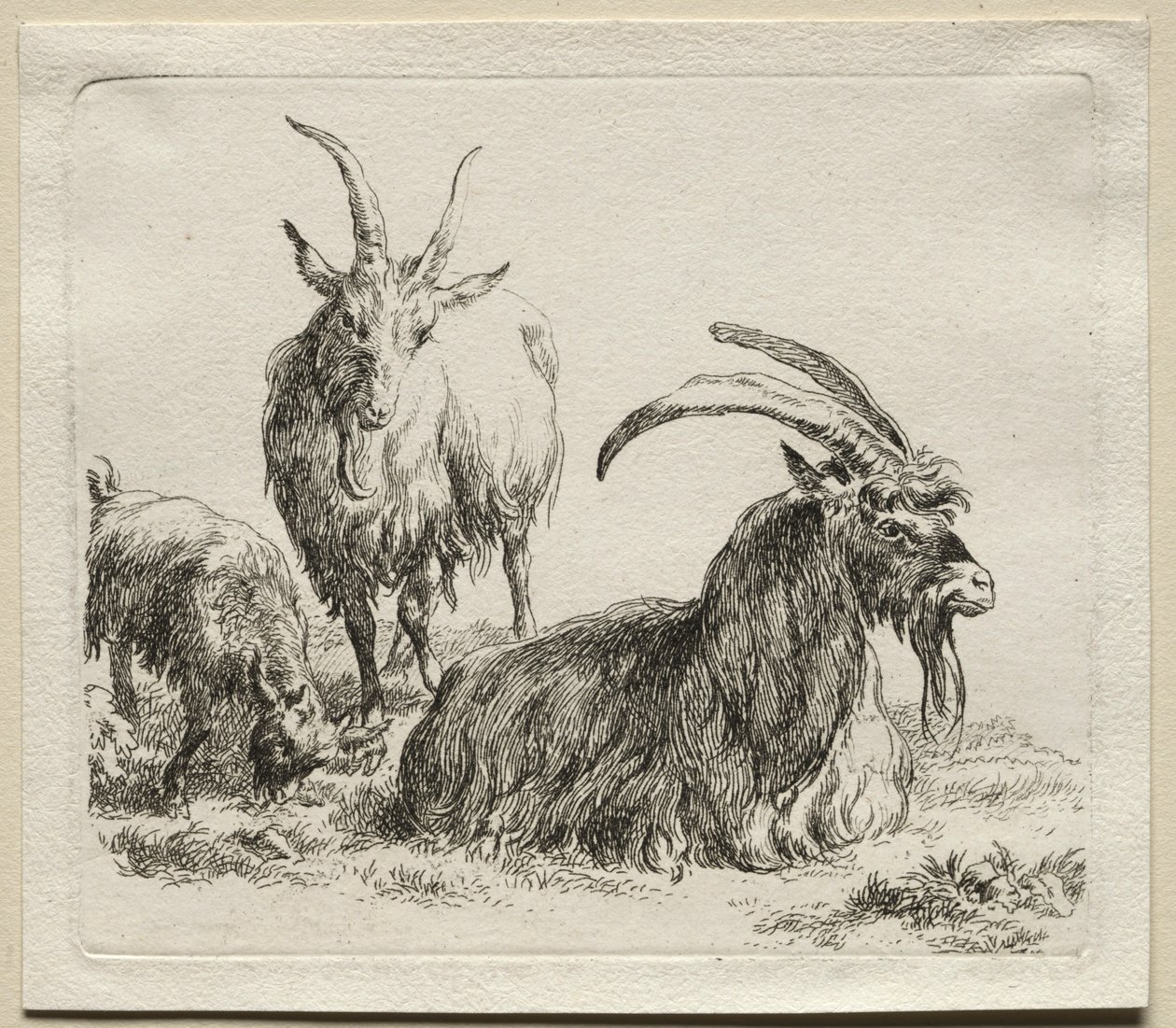 Tres cabras de Nicolaes Pietersz. Berchem