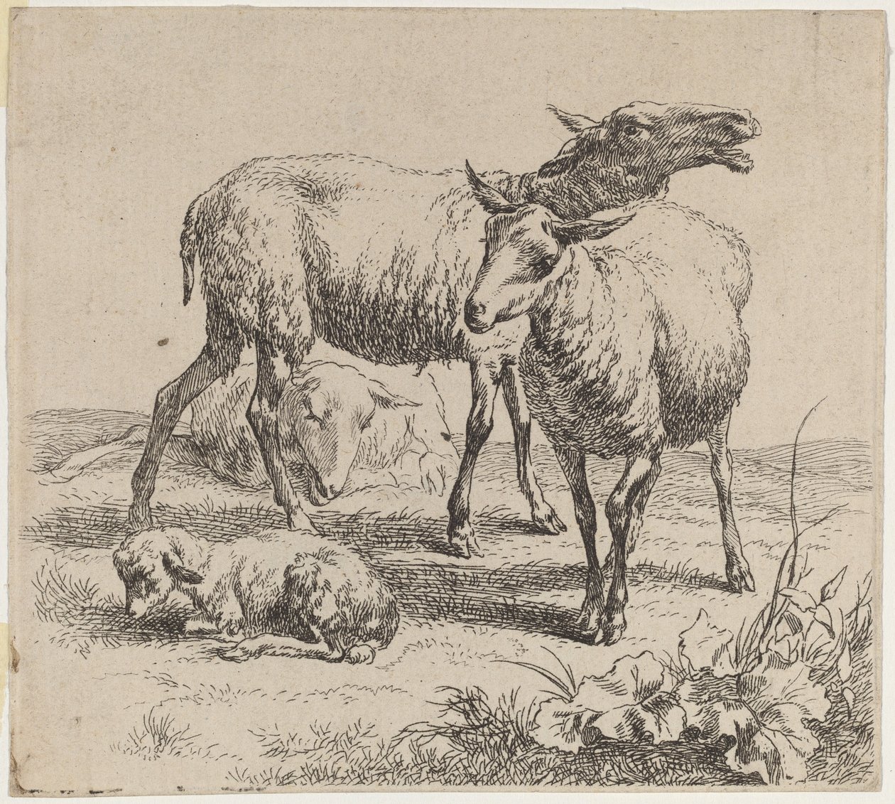 Tres ovejas y un cordero de Nicolaes Pietersz Berchem