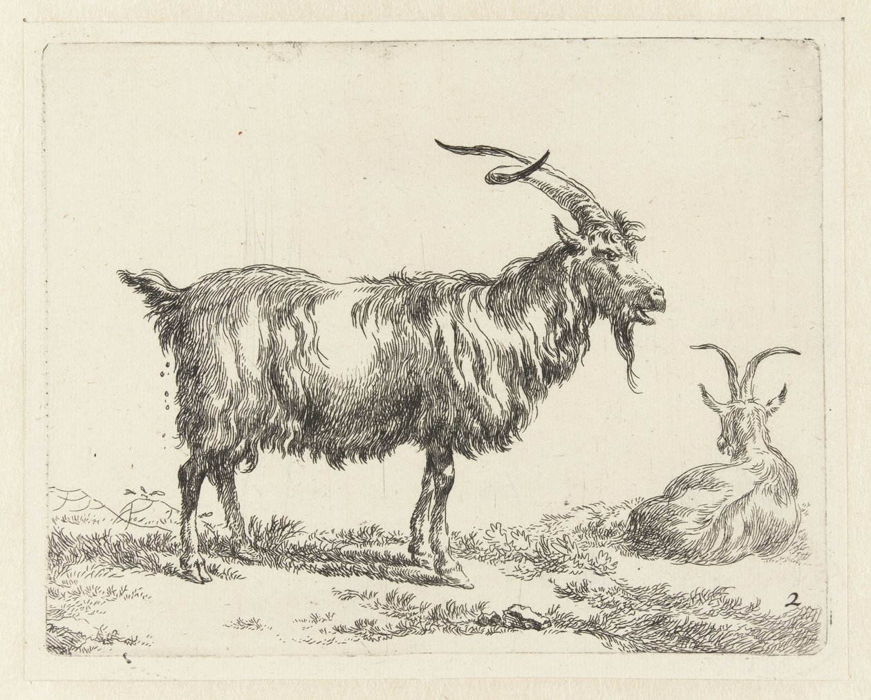 Dos veces al año
Geiten (título de la serie)
Animalia ad vivum delineata et aqua forti aeri impressa Studio et Arte Nicolai Berchemi (título de la serie) de Nicolaes Pietersz Berchem