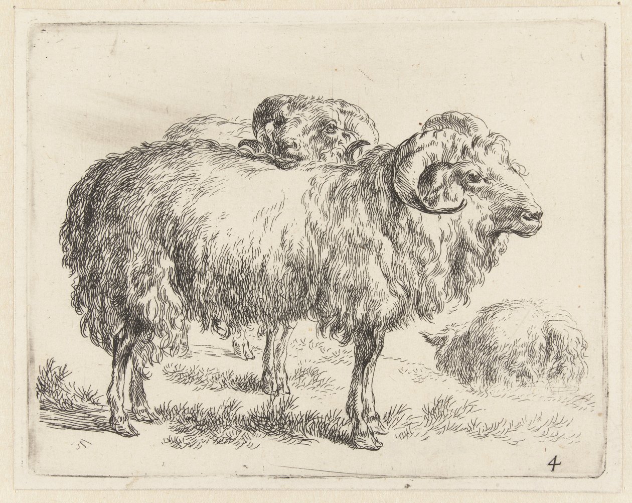 Twee rammen en een schaap Schapen (título de la serie) Animales dibujados a la vida e impresos con agua para un aire fuerte por Studio and Art of Nicolai Berchem (título de la serie) de Nicolaes Pietersz Berchem