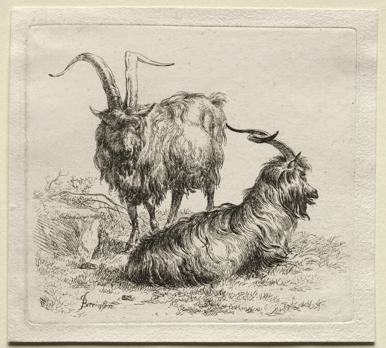 Dos cabras de Nicolaes Pietersz. Berchem