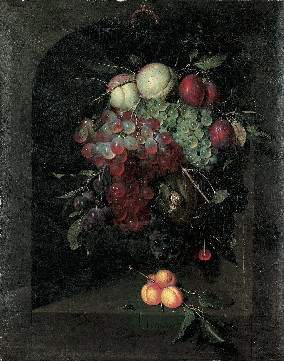 Guirnalda de Uvas, Duraznos, Ciruelas y Cerezas con un Caracol en un Nicho de Piedra con un Racimo de Albaricoques y una Abeja en un Saliente, 1666 de Nicolaes Van Gelder