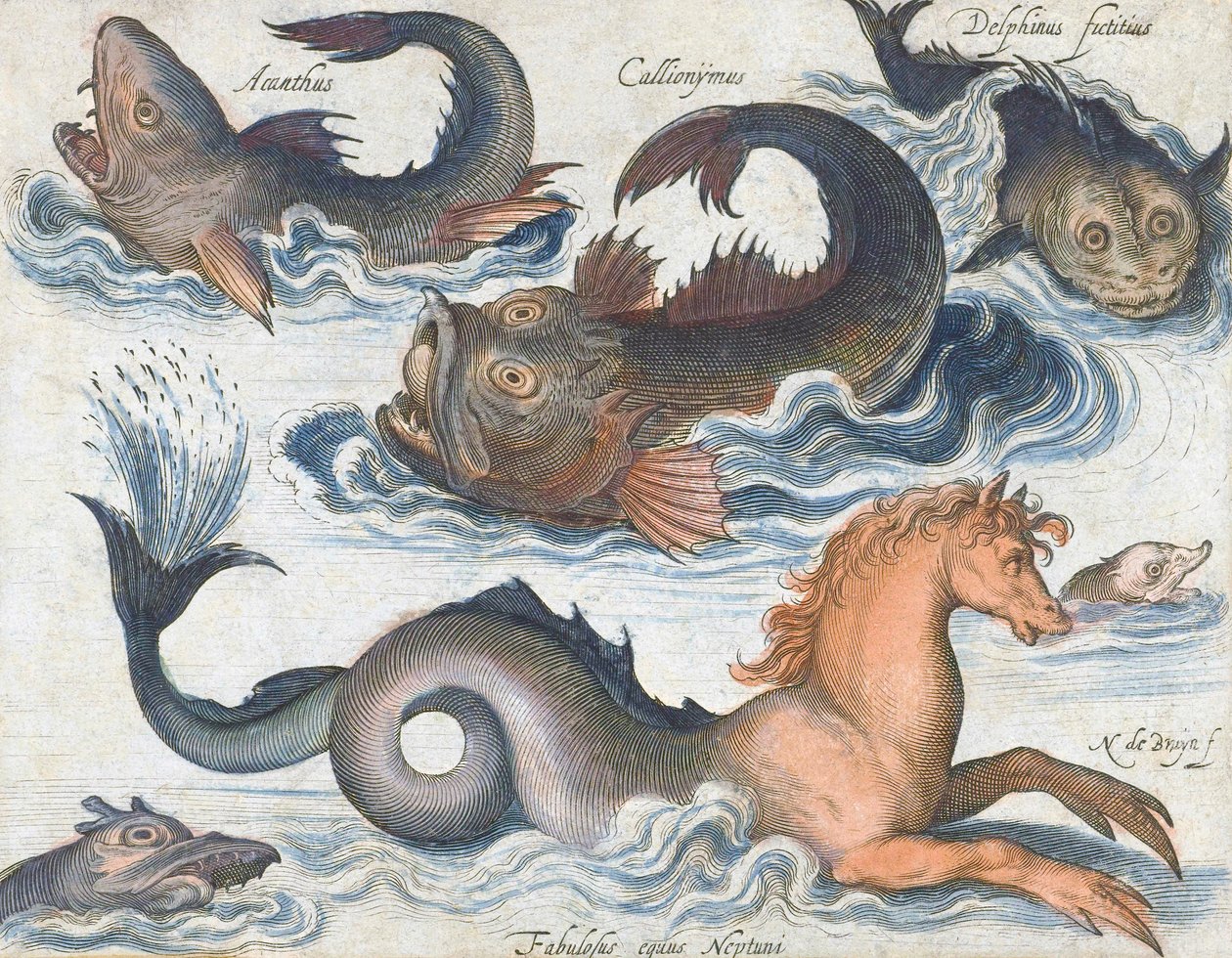 Caballito de mar y criaturas acuáticas imaginarias de Nicolaes de (after) Bruyn