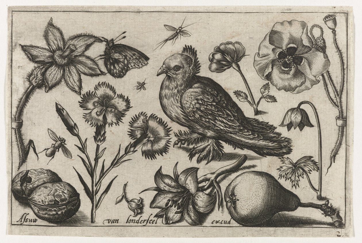 Flores, una pera y una paloma. Pájaros, flores, insectos, etc. (título de la serie) de Nicolaes de Bruyn (possibly)