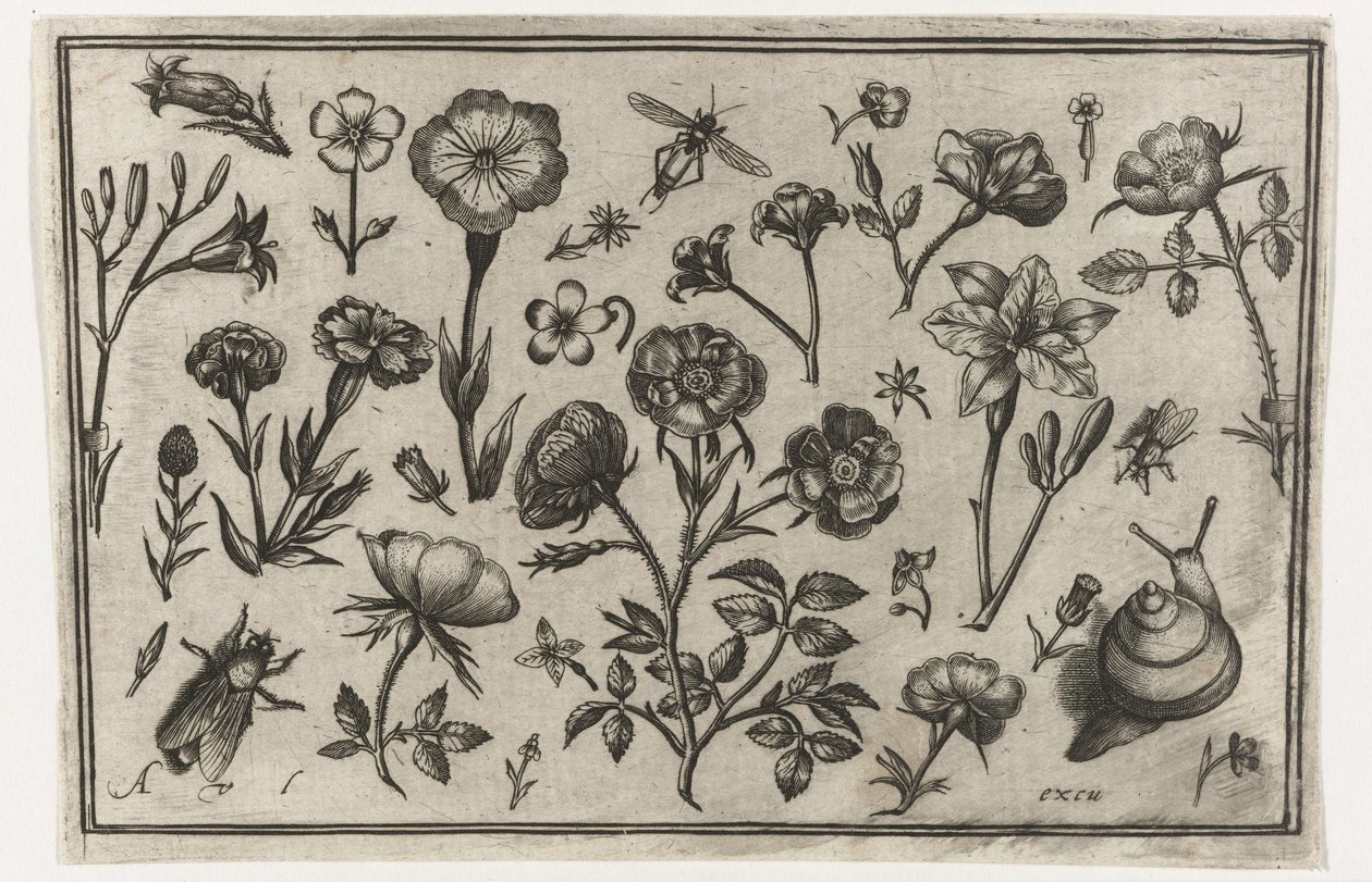 Flores, una mosca y un caracol. Pájaros, flores, insectos, etc. (título de la serie) de Nicolaes de Bruyn (possibly)