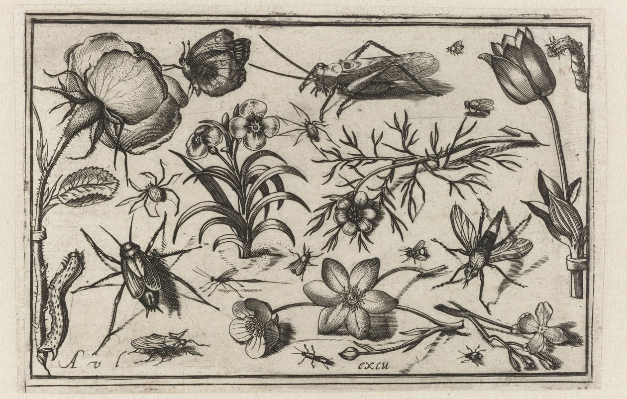 flores e insectos Pájaros, flores, insectos, etc. (título de la serie) de Nicolaes de Bruyn (possibly)