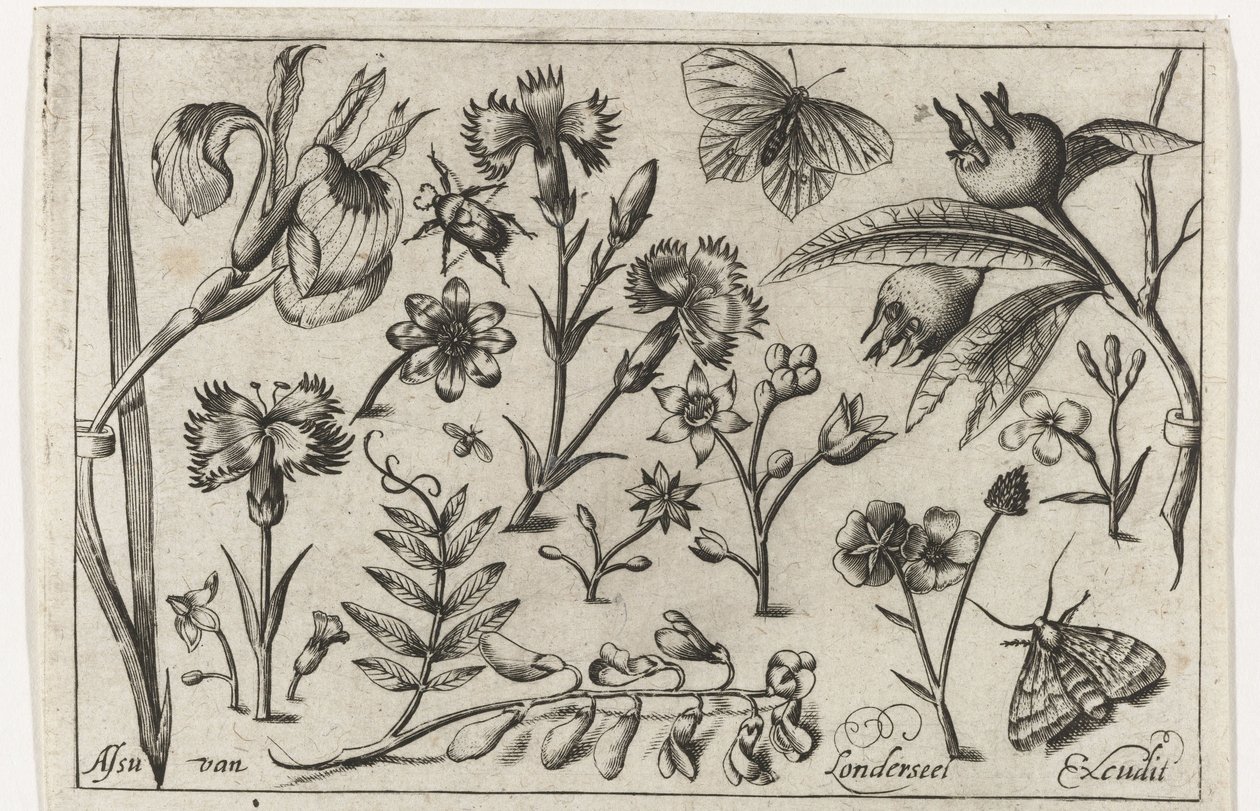 flores y mariposas Pájaros, flores, insectos, etc. (título de la serie) de Nicolaes de Bruyn (possibly)