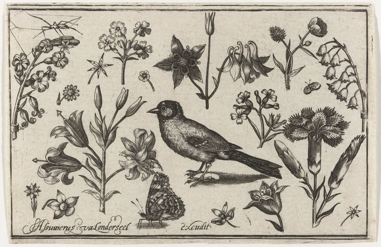 Flores, mariposa y un pájaro. Pájaros, flores, insectos, etc. (título de la serie) de Nicolaes de Bruyn (possibly)