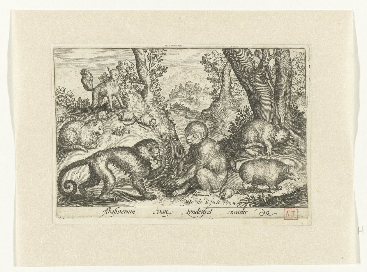 Monos, gatos y ratones Animalivm qvadrvpedvm (título de la serie) Animales en paisajes (título de la serie) de Nicolaes de Bruyn