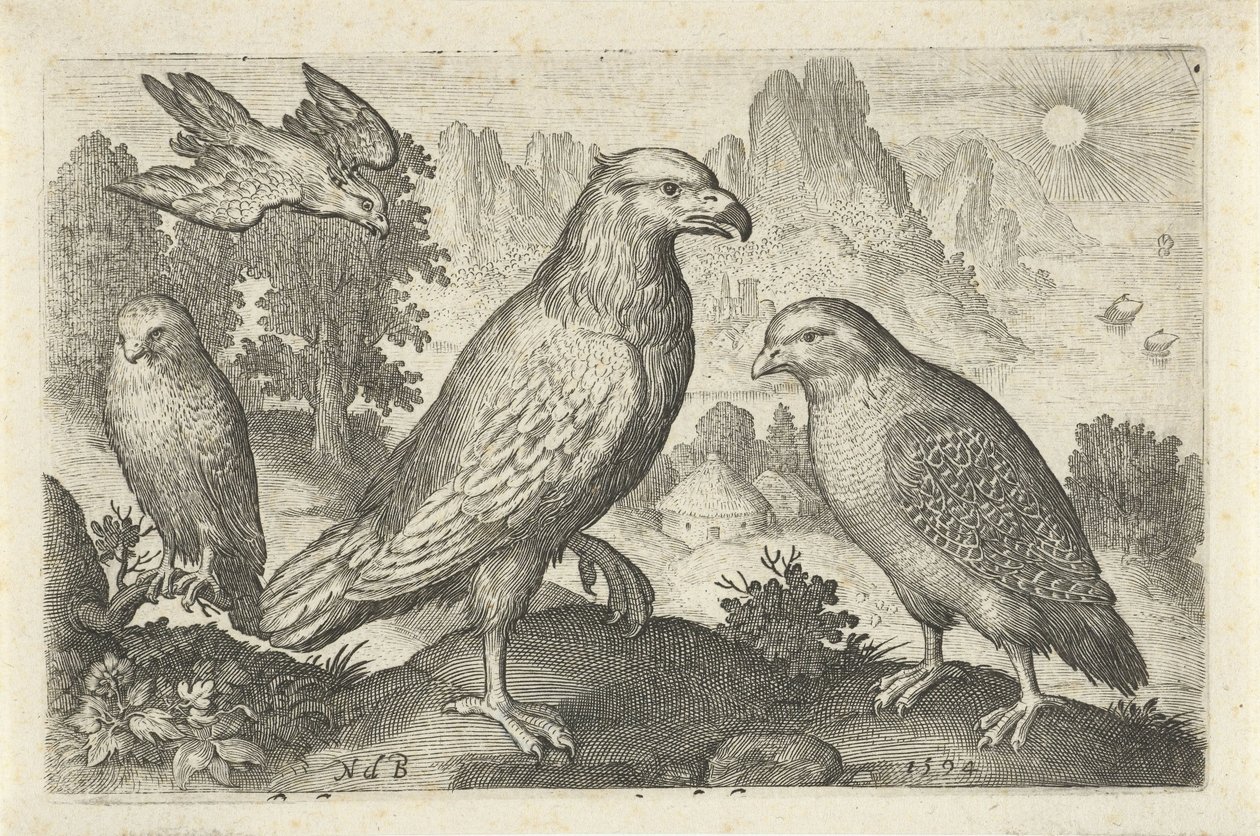 Águila y otras aves rapaces Pájaros e insectos (título de la serie) de Nicolaes de Bruyn