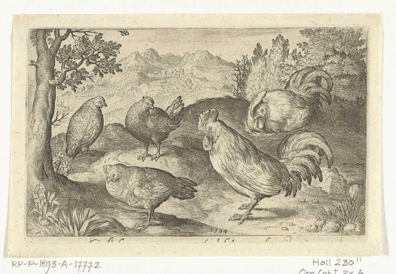 Tres gallinas y dos gallos Pájaros e insectos (título de la serie) de Nicolaes de Bruyn