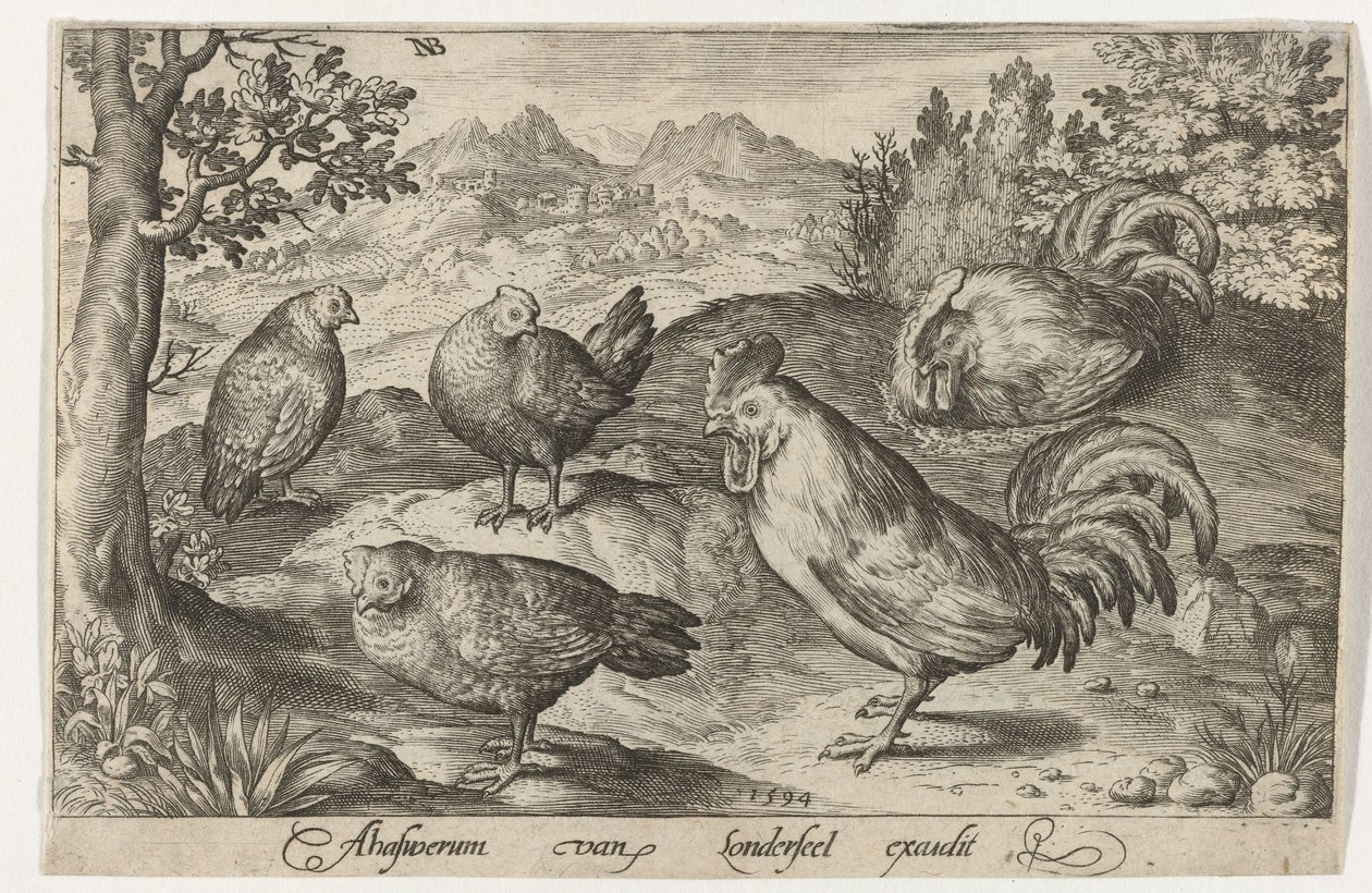 Tres gallinas y dos gallos
Aves e insectos (título de la serie) de Nicolaes de Bruyn