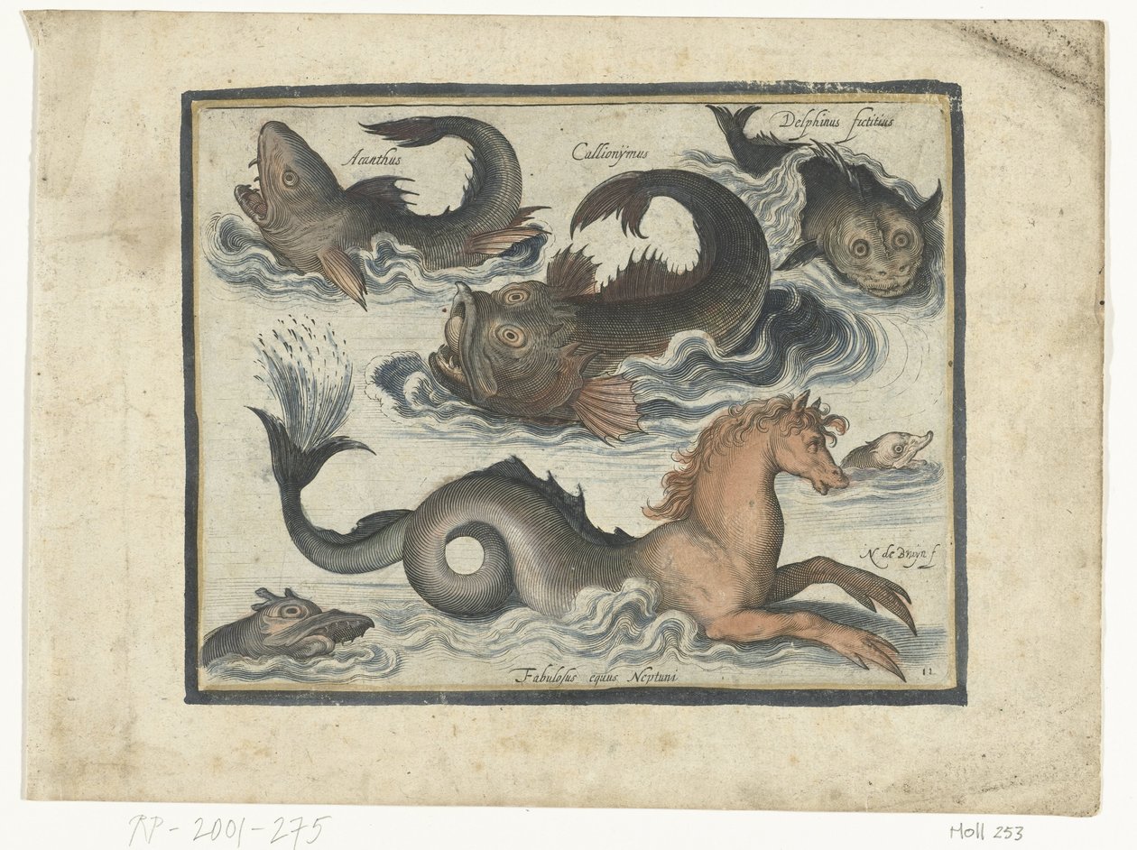 Fantásticos animales acuáticos, incluido el caballito de mar
Libelivs varia Genera piscium complectens (título de la serie)
Peces de agua dulce, peces de mar, ranas, crustáceos y criaturas marinas (título de la serie) de Nicolaes de Bruyn