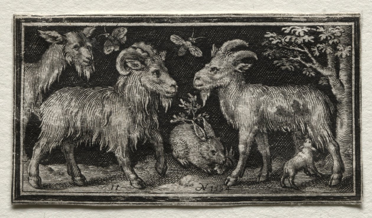 Cabras y Liebre, 1594 de Nicolaes de Bruyn
