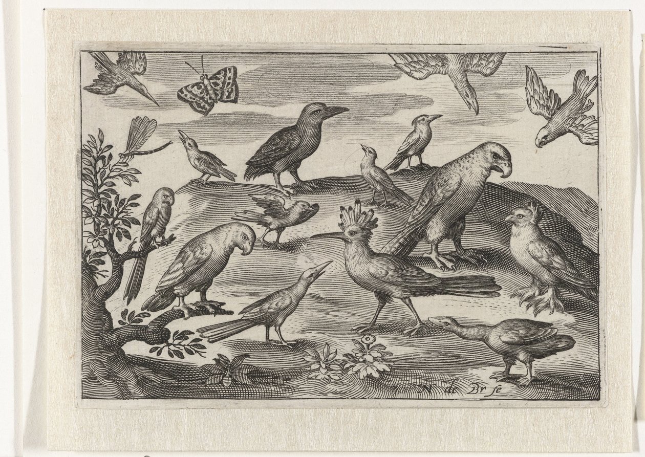 Lúpulo y otras aves Pájaros e insectos (título de la serie) de Nicolaes de Bruyn