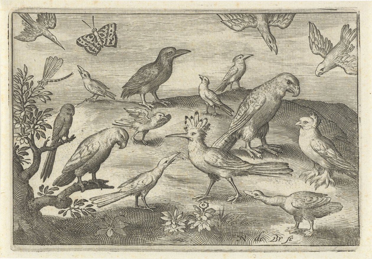 Lúpulo y otras aves Pájaros e insectos (título de la serie) de Nicolaes de Bruyn