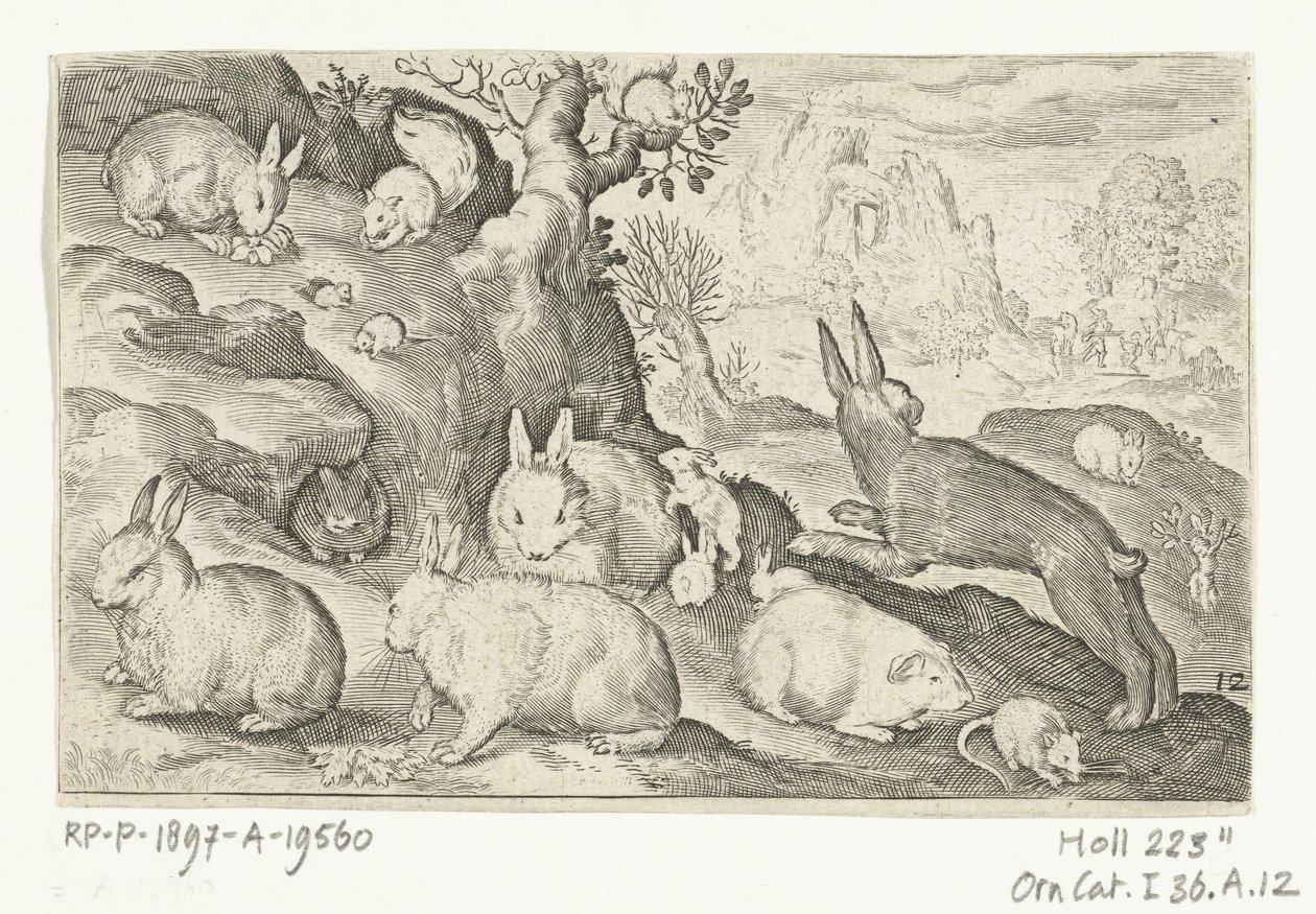 Conejos, ardilla, conejillo de indias y ratón Animalivm qvadrvpedvm (título de la serie) Animales en paisajes (título de la serie) de Nicolaes de Bruyn