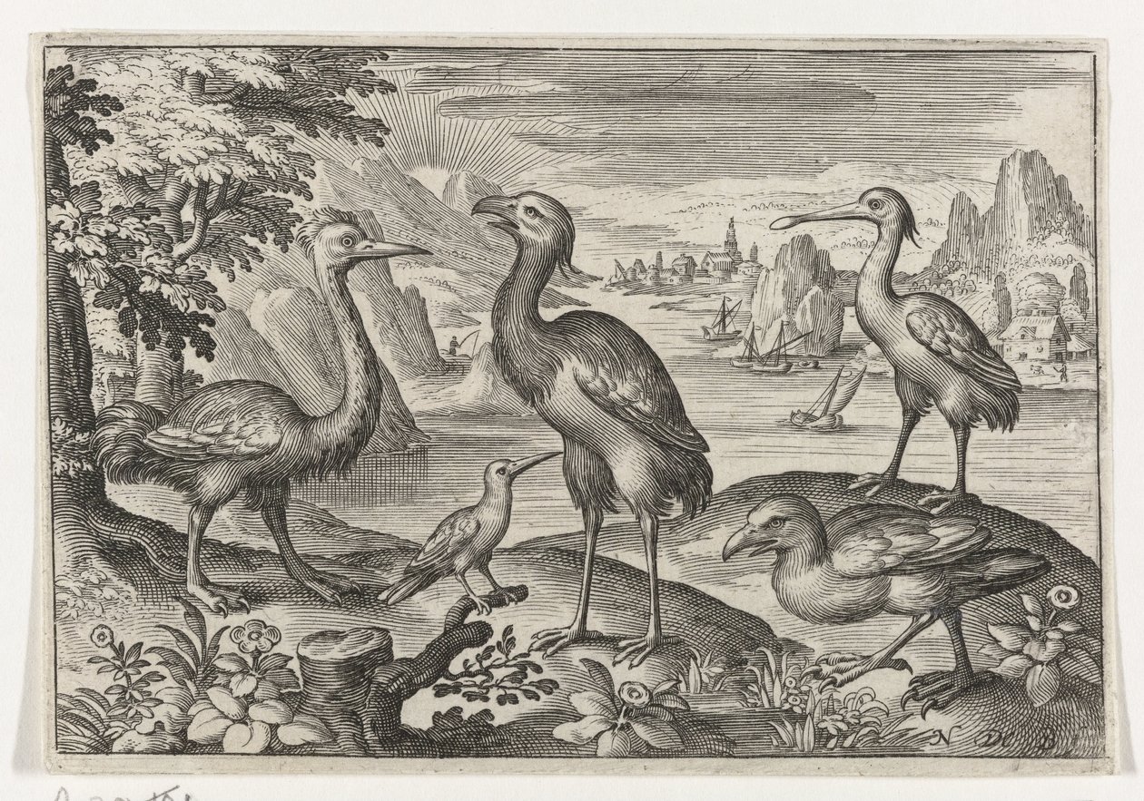 Grulla coronada entre dos avestruces Pájaros e insectos (título de la serie) de Nicolaes de Bruyn
