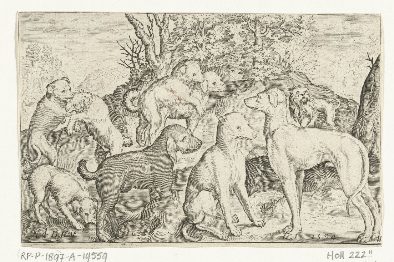 Nueve perros Animalivm qvadrvpedvm (título de la serie) Animales en paisajes (título de la serie) de Nicolaes de Bruyn