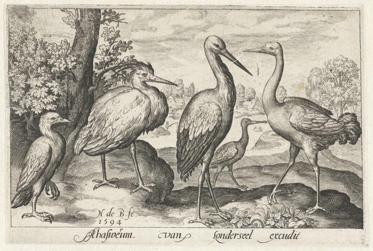 Cigüeña, grulla, garza y ​​espátula Pájaros e insectos (título de la serie) de Nicolaes de Bruyn