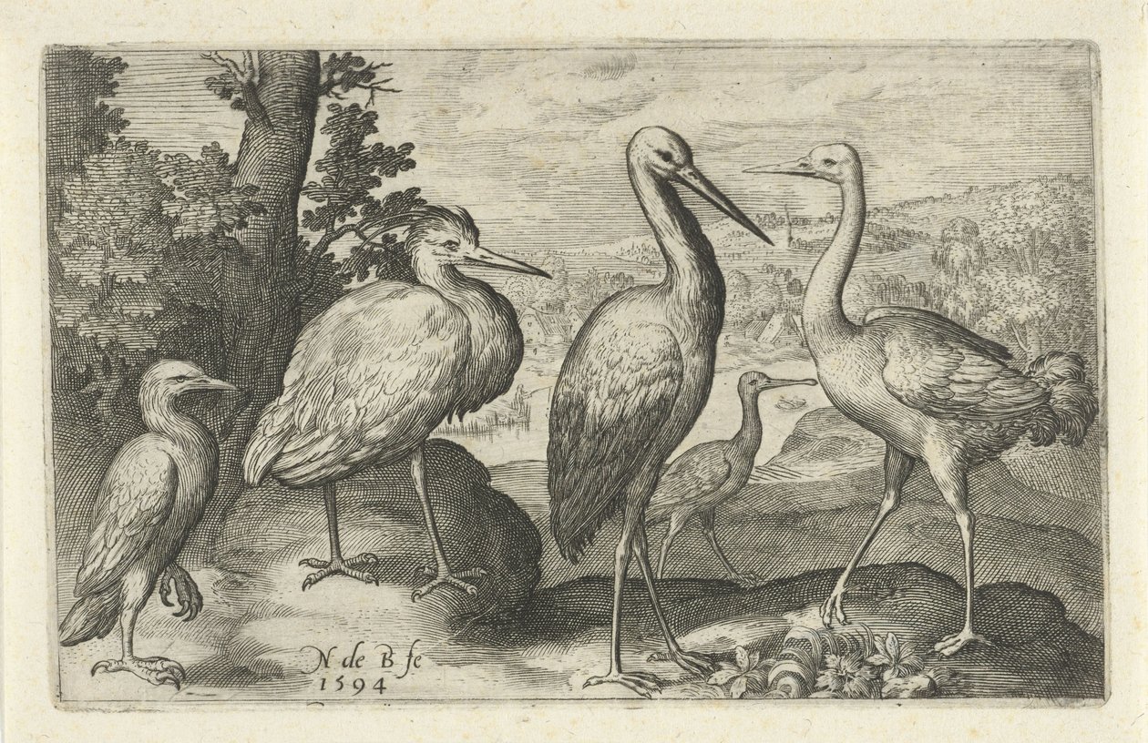 Cigüeña, grulla, garza y ​​espátula Pájaros e insectos (título de la serie) de Nicolaes de Bruyn