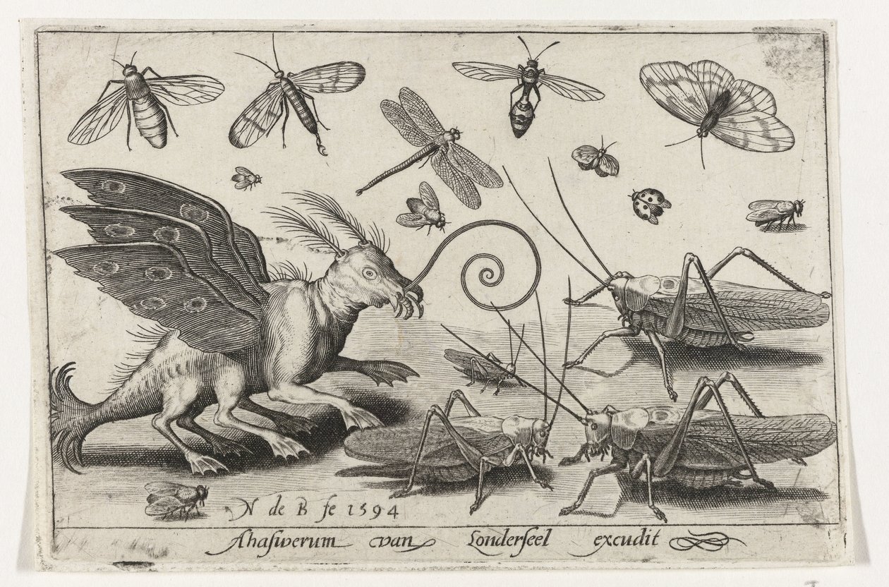 Saltamontes y criatura de fantasía con alas y patas palmeadas. Pájaros e insectos (título de la serie) de Nicolaes de Bruyn