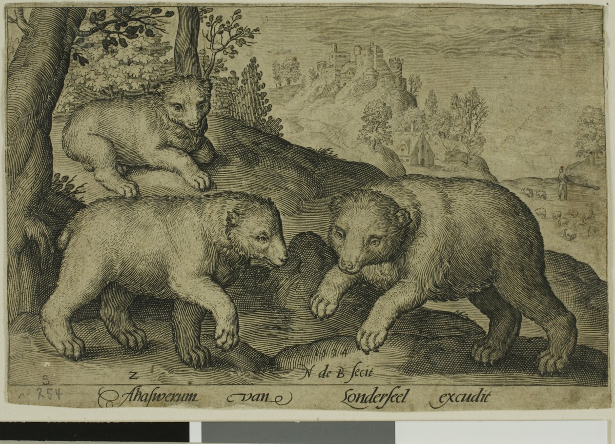Tres Osos, lámina diez de Animales de Cuatro Patas de Nicolaes de Bruyn