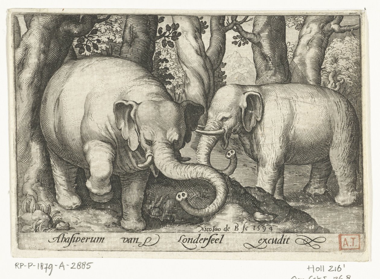 dos elefantes Animalivm qvadrvpedvm (título de la serie) Animales en paisajes (título de la serie) de Nicolaes de Bruyn