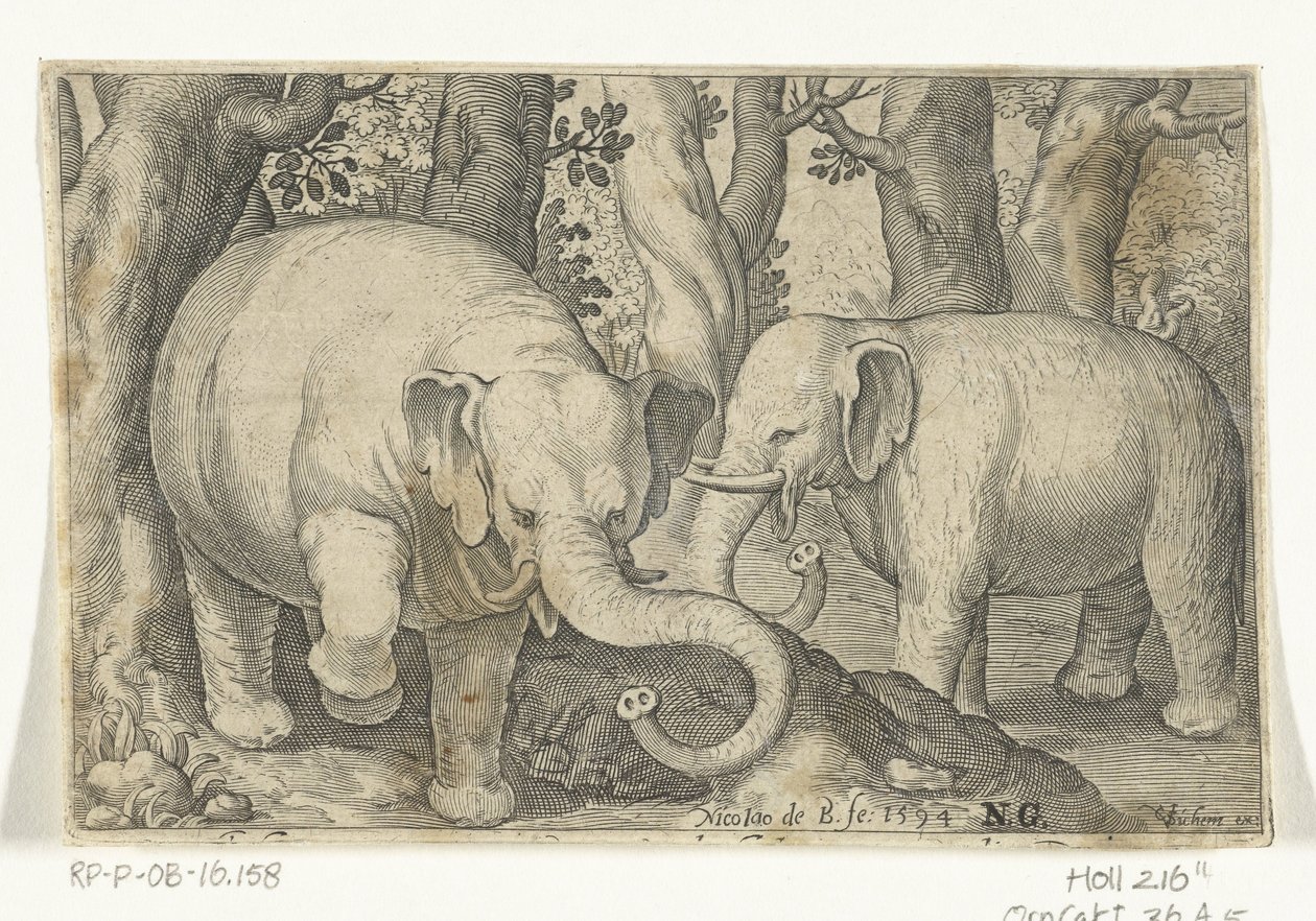 dos elefantes Animalivm qvadrvpedvm (título de la serie) Animales en paisajes (título de la serie) de Nicolaes de Bruyn